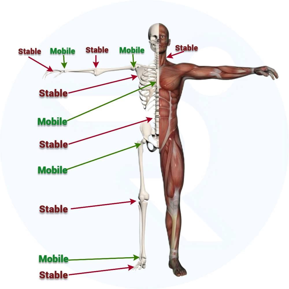 Joint by Joint Approach Diagram